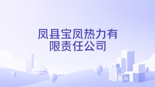 凤县宝凤热力有限责任公司