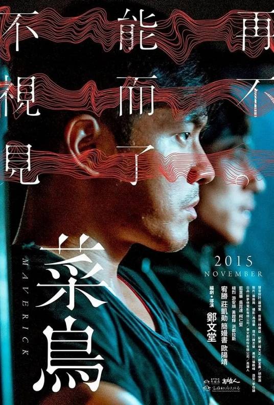 菜鸟（2015年郑文堂导演的电影）