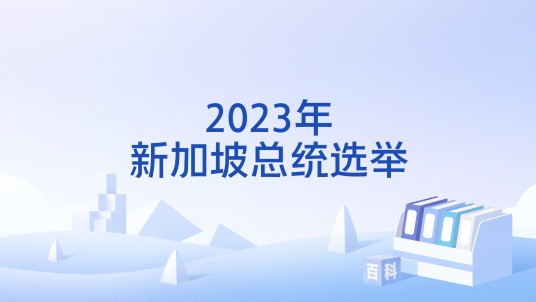 2023年新加坡总统选举