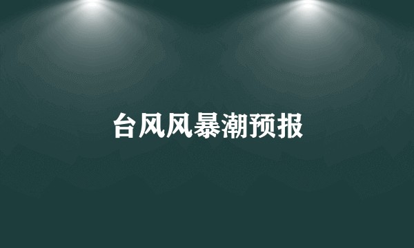 台风风暴潮预报