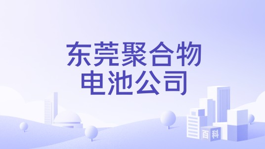 东莞聚合物电池公司