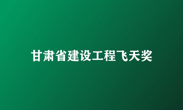 甘肃省建设工程飞天奖