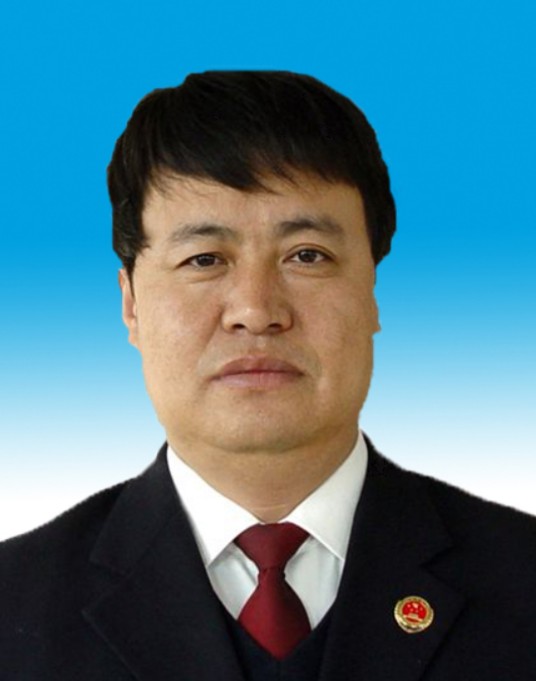 杜延安（甘肃省白银市平川区人民检察院党组成员、副检察长、检委会委员、四级高级检察官）