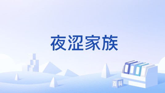 夜涩家族