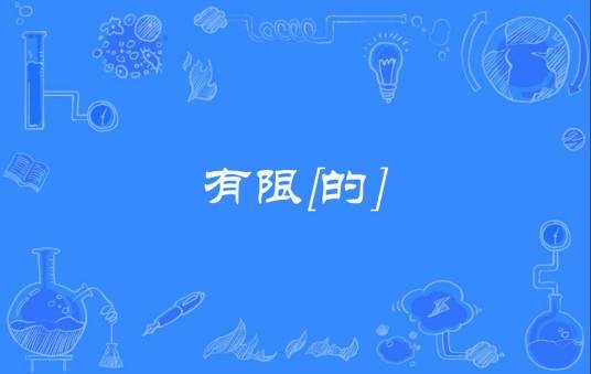 有限[的]