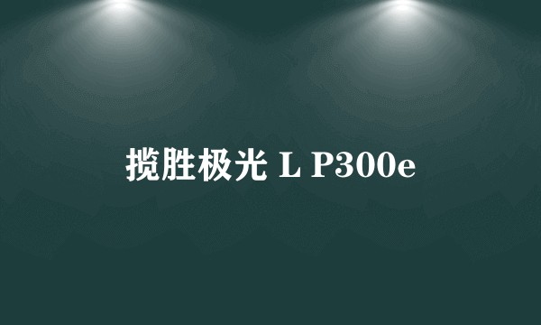 揽胜极光 L P300e