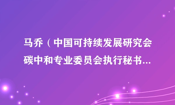 马乔（中国可持续发展研究会碳中和专业委员会执行秘书、气候变化工作委员会委员）
