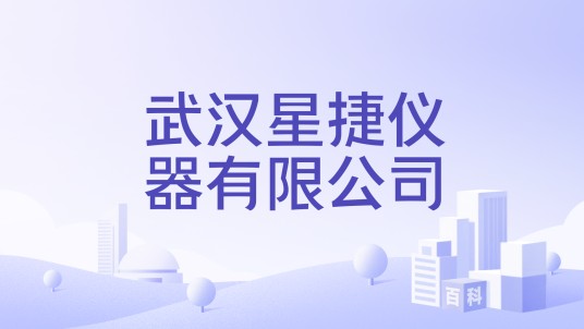 武汉星捷仪器有限公司
