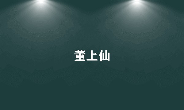 董上仙