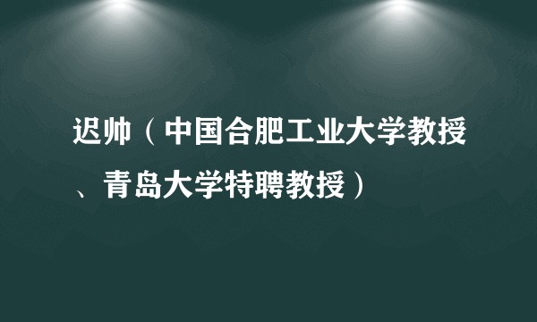 迟帅(中国合肥工业大学教授、青岛大学特聘教授)