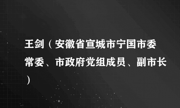 王剑（安徽省宣城市宁国市委常委、市政府党组成员、副市长）