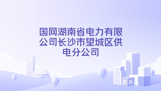 国网湖南省电力有限公司长沙市望城区供电分公司