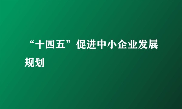 “十四五”促进中小企业发展规划