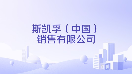 斯凯孚（中国）销售有限公司