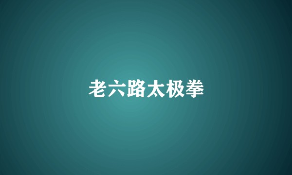 老六路太极拳