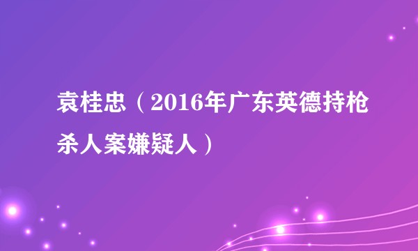袁桂忠（2016年广东英德持枪杀人案嫌疑人）