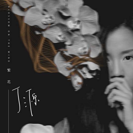 繁花（2016年丁源演唱的歌曲）