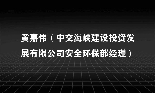 黄嘉伟（中交海峡建设投资发展有限公司安全环保部经理）