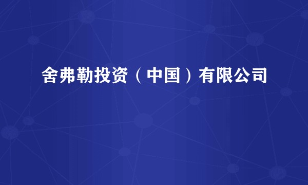 舍弗勒投资（中国）有限公司