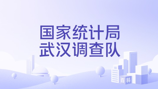 国家统计局武汉调查队