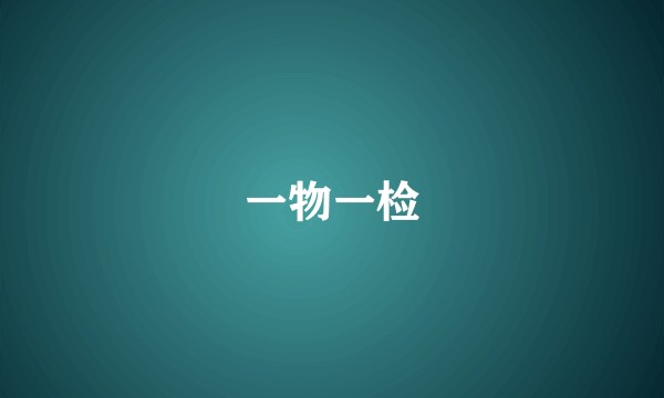 一物一检