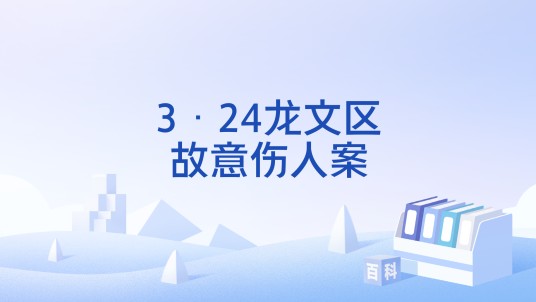 3·24龙文区故意伤人案