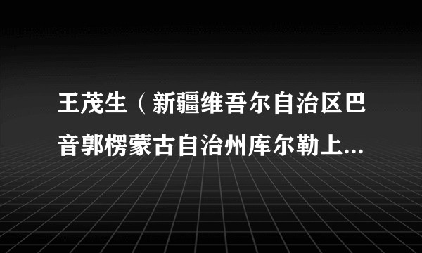 王茂生（新疆维吾尔自治区巴音郭楞蒙古自治州库尔勒上库高新技术产业开发区管委会社会发展局局长）