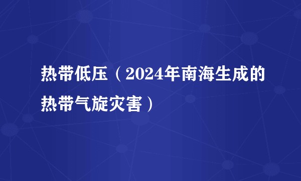 热带低压(2024年南海生成的热带气旋灾害)
