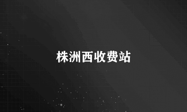株洲西收费站