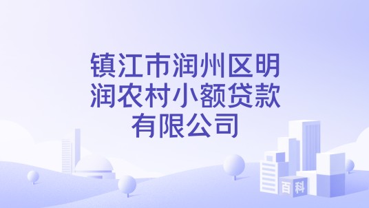 镇江市润州区明润农村小额贷款有限公司