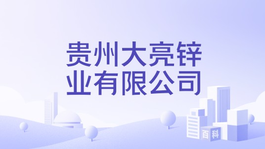 贵州大亮锌业有限公司