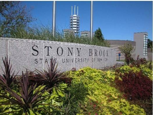 STONY BROOK