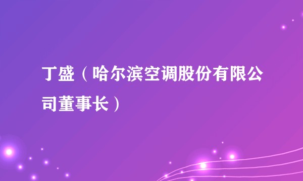 丁盛（哈尔滨空调股份有限公司董事长）