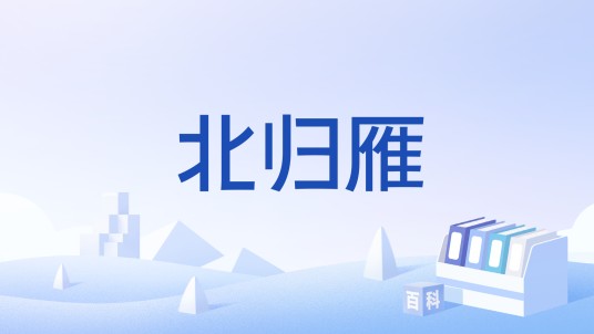 北归雁