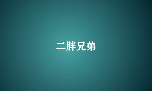 二胖兄弟