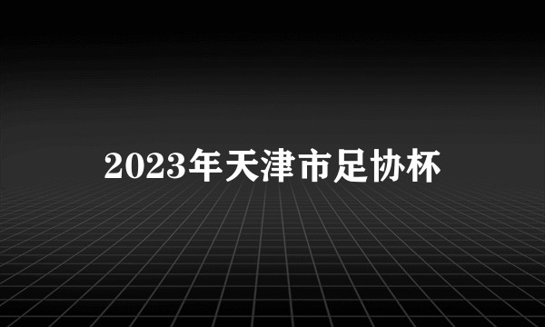 2023年天津市足协杯