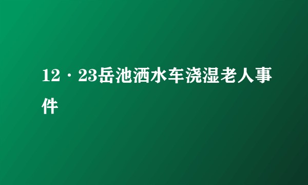 12·23岳池洒水车浇湿老人事件