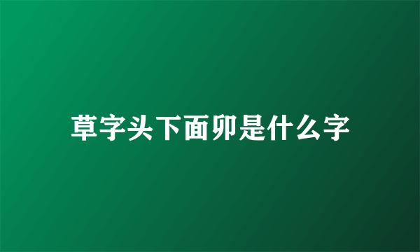 草字头下面卯是什么字