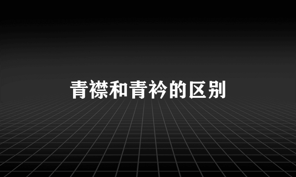 青襟和青衿的区别