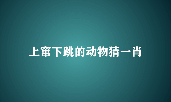 上窜下跳的动物猜一肖