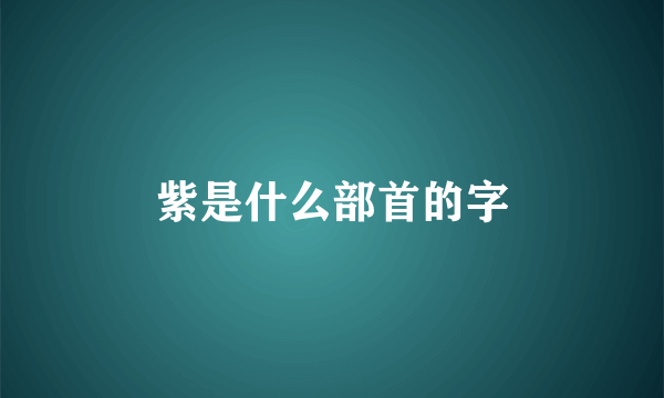 紫是什么部首的字