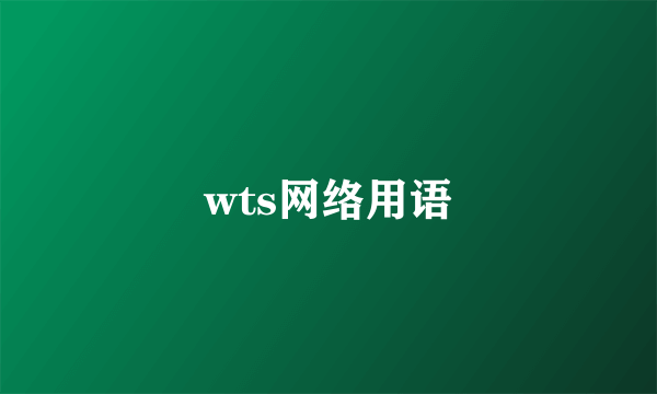 wts网络用语