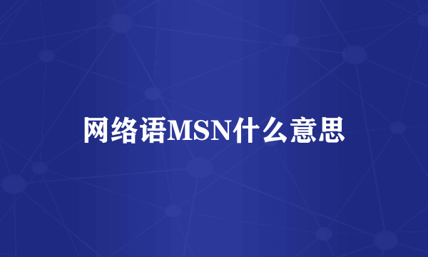网络语MSN什么意思