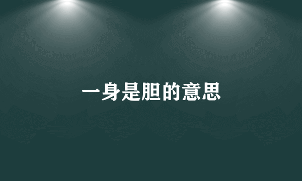 一身是胆的意思