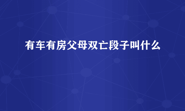 有车有房父母双亡段子叫什么