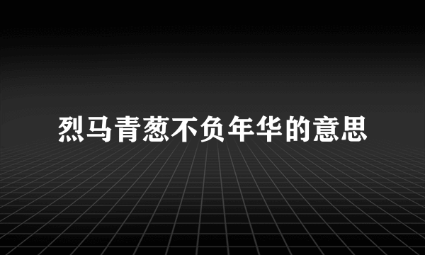 烈马青葱不负年华的意思