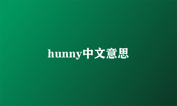 hunny中文意思