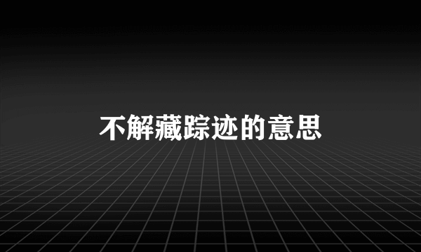 不解藏踪迹的意思