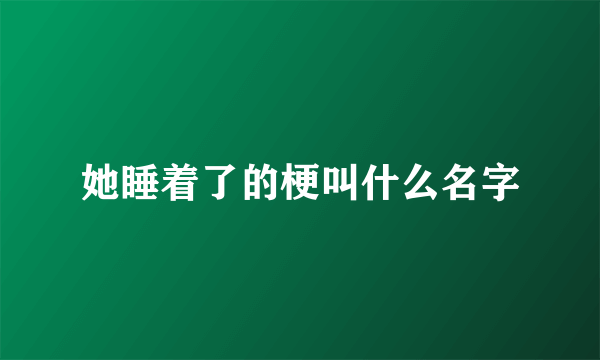 她睡着了的梗叫什么名字
