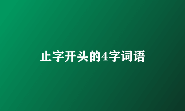 止字开头的4字词语